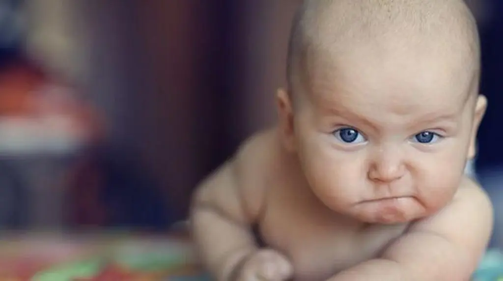 Gemini. (Via: aksam.com.tr)