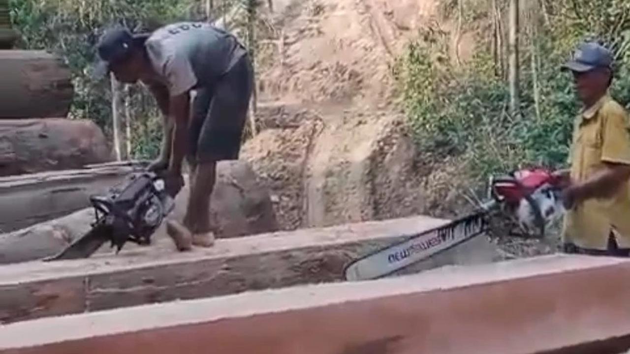 Viral! Rekaman Ilegal Logging di Lampung Bikin Warga Ketakutan