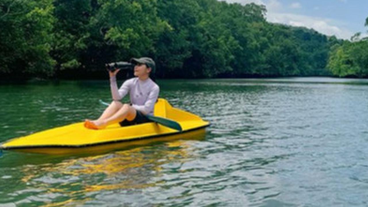 Potret Prilly Latuconsina ke Kaimana di Papua Barat, Jelajahi Salah Satu Hutan Mangrove Terbesar di Dunia