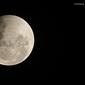 Ilustrasi gerhana bulan total. (Foto: Bambang E.Ros)