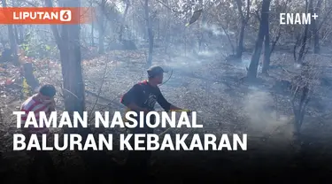 Terjadi Kebakaran Hutan di Kawasan Taman Nasional Baluran Situbondo