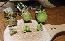 Terkenal dengan Aroma Pedas Menyengat, Ini 9 Khasiat Wasabi untuk Kesehatan