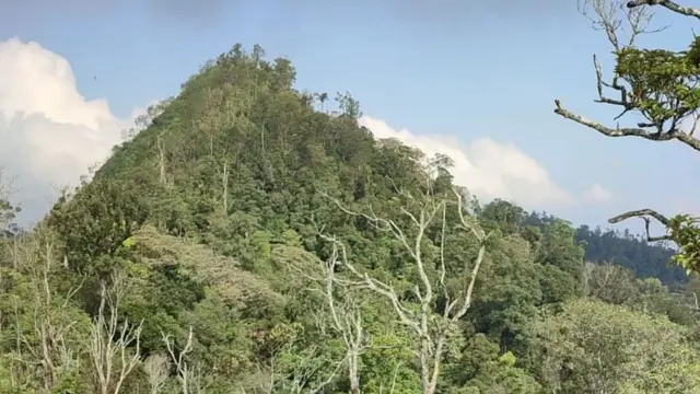 Gunung Kareumbi di Sumedang, Bandung Timur https://www.instagram.com/p/C6bIsXfRDNR/?igsh=NXk1emR2cDZzcTV5
