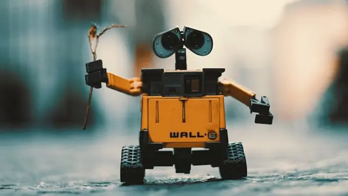 copyright Pexels.com/Pixabay.com