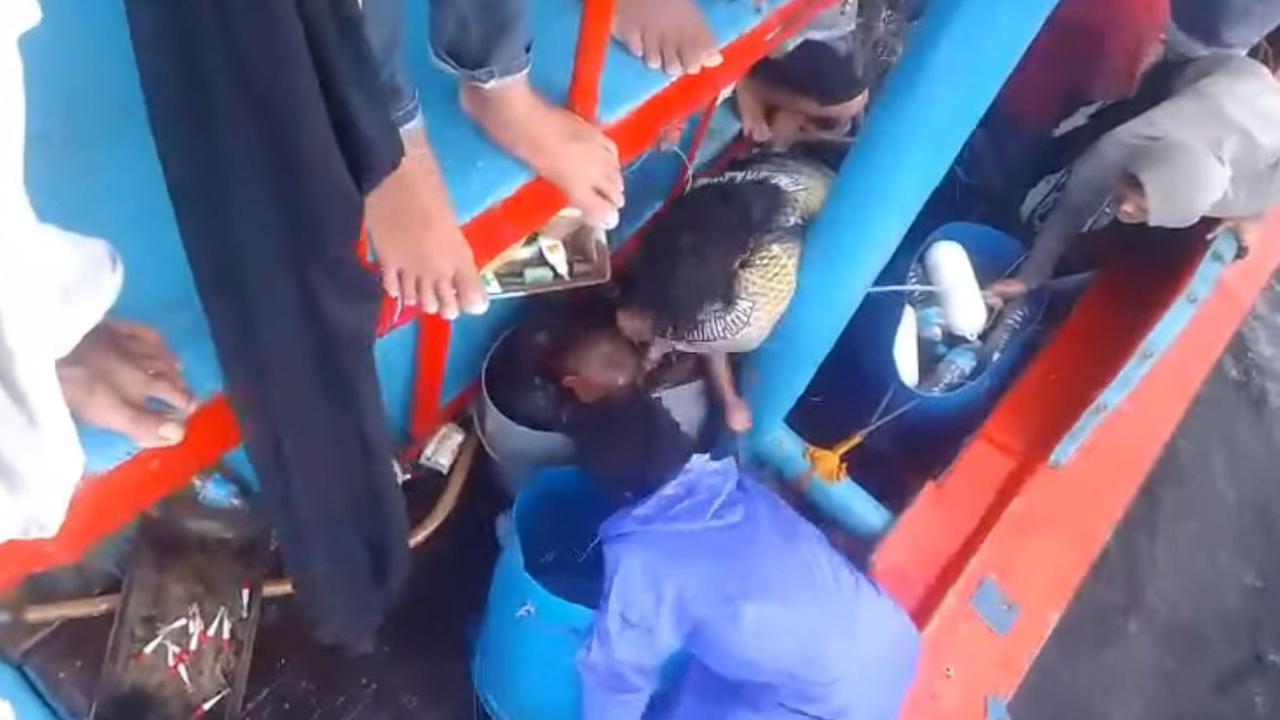 Viral Dugaan Penganiayaan 4 ABK KM Maulana 23, Polisi Telusuri Target 3 Kg Cumi