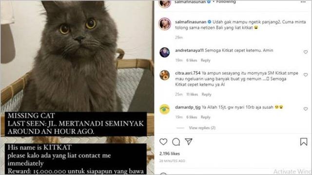 Beri Hadiah Mewah, Ini 6 Pengumuman Kucing Hilang Ini Bikin Heboh