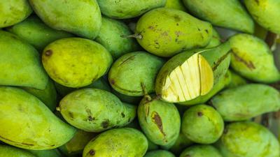 Program Unik Pertamina Patra Niaga Buat Petani Tetap Cuan di Tengah Penurunan Harga