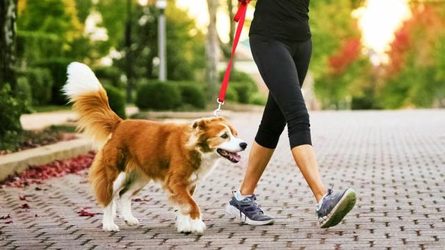 [Bintang] Ilustrasi Jalan Kaki