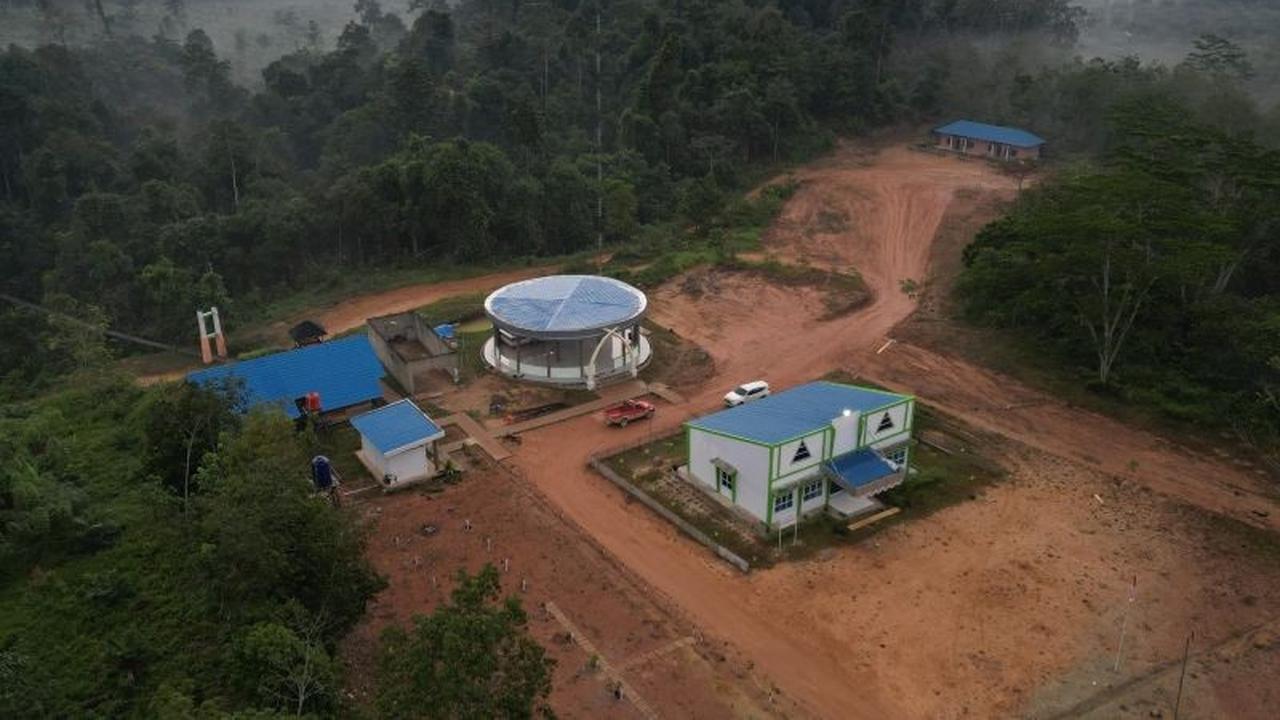Habitat Satwa Kunci di Bukit Tigapuluh Menyusut, BKSDA Jambi Ungkap Ancaman Serius