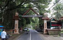 Desa Wisata Kemiren Banyuwangi: Magnet Budaya dan Ekonomi, Raih Penghargaan Internasional