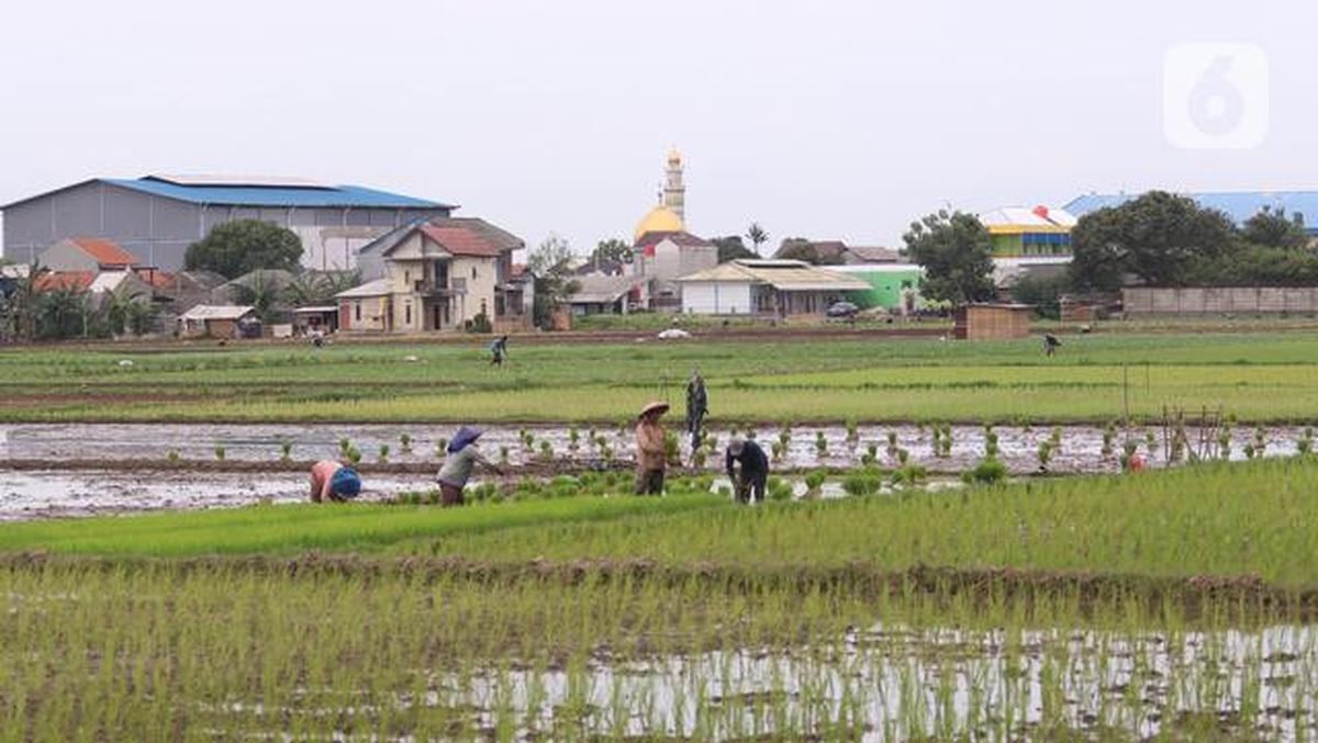 Bahaya Pangan Tak Aman, Indonesia Terancam Rugi Rp 30 Triliun per Tahun