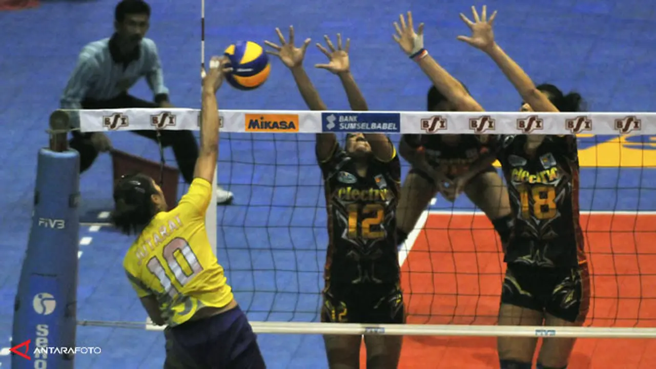 voli-proliga-130406aa.jpg
