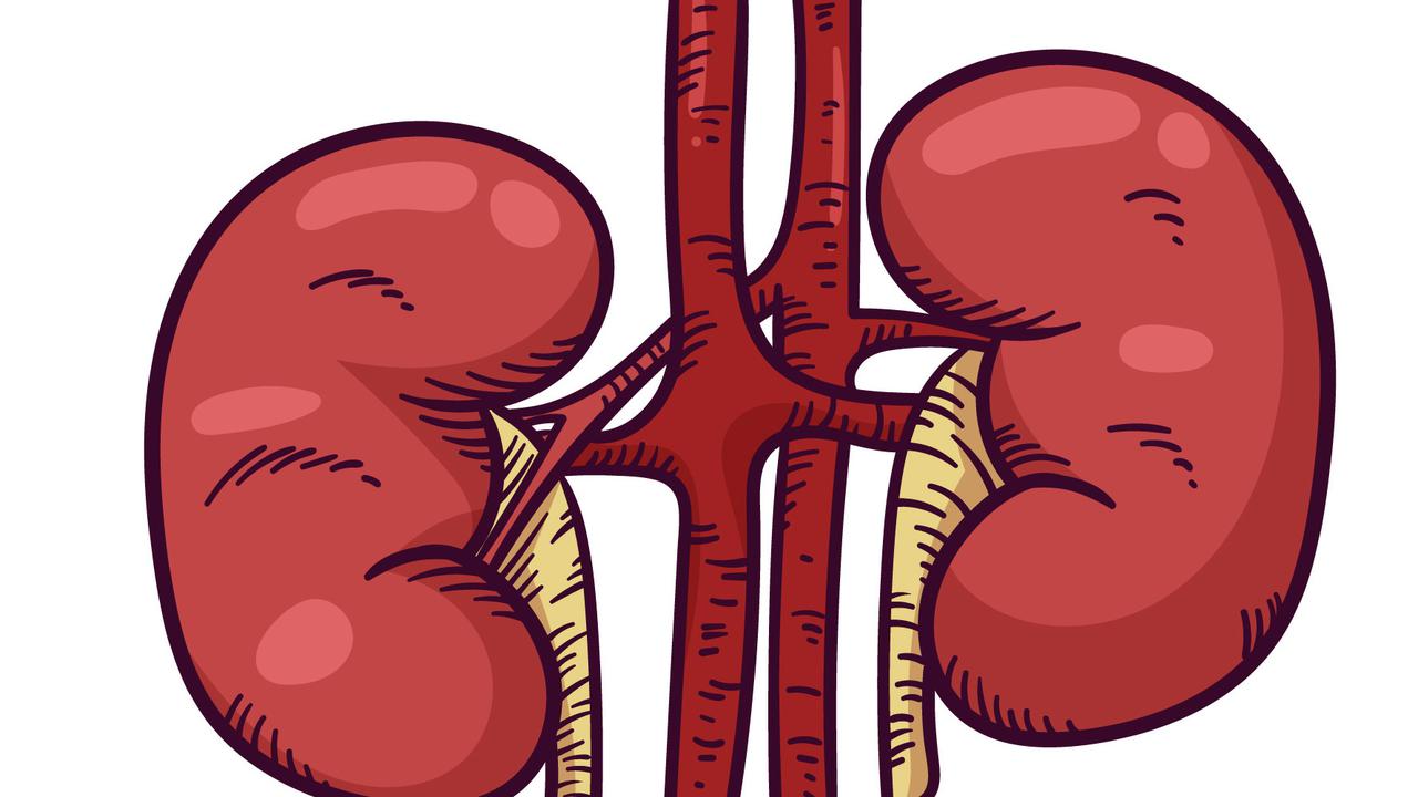 Penting Dipahami! Ini Gejala Batu Ginjal, Cara Mendeteksi, dan Kapan Harus ke Dokter
