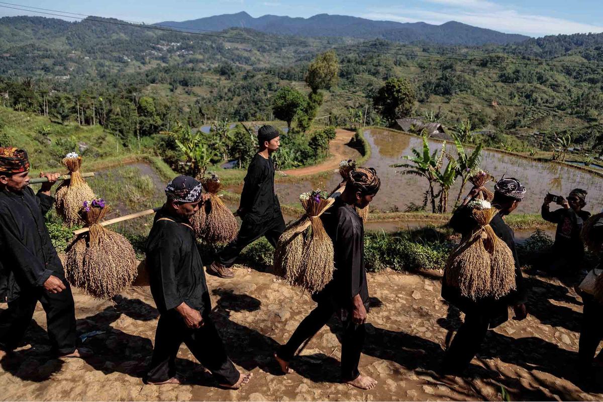 FOTO: Seren Taun ke-657, Warga Kasepuhan Gelar Alam Rayakan Syukur Panen di Sukabumi