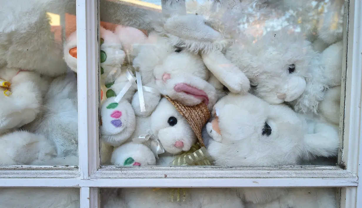 Berbagai boneka kelinci terlihat dari jendela The Bunny Museum di Pasadena, California, 8 Desember 2016. Museum kelinci ini didirikan oleh pasangan suami istri Candace Frazee dan Steve Lubanski pada tahun 1998. (Frederic J. BROWN/AFP)