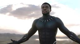 Black Panther. (Marvel Studios)