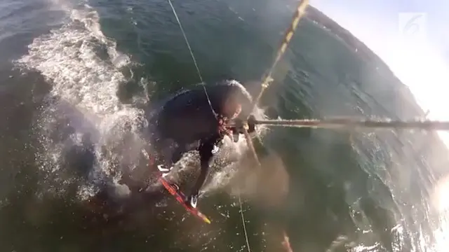 Sebuah video rekaman menunjukkan seorang pria bertabrakan dengan seekor ikan paus.