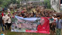 Idul Adha 2026, PDIP Jatim Bagikan 485 Sapi Kurban untuk Wong Cilik