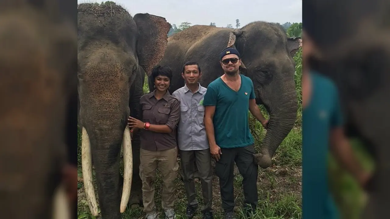 Gajah Sumatera