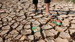 Kondisi tanah di sekitar Kanal Banjir Barat (KBB) yang mengalami kekeringan di kawasan Tanah Abang, Jakarta, Jumat (12//2019). Musim kemarau yang terjadi di Ibu Kota menyebabkan debit air di KBB berkurang sehingga menimbulkan keretakan tanah di sekitarnya. (Liputan6.com/Immanuel Antonius)