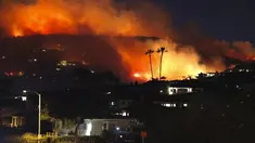 Kebakaran hutan terjadi di Emerald Bay Area dekat Pantai Laguna, California (10/2/2022). Kebakaran hutan yang dipicu oleh angin kencang Santa Ana meletus di perbukitan di pantai California Selatan Kamis pagi. (@dustyschuh via AP)