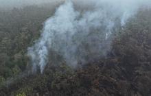 Sudah Diguyur Hujan Semalaman, Mengapa Kebakaran Hutan di OKI Belum Padam?