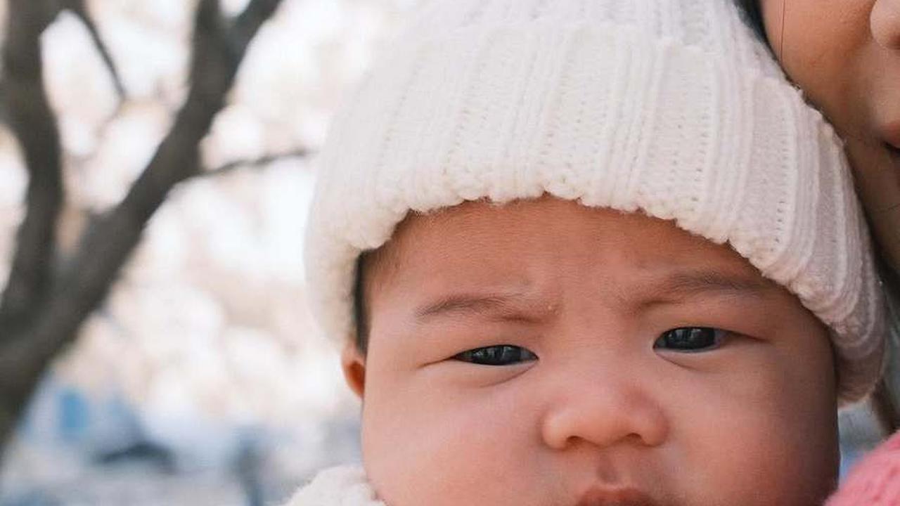 7 Potret Baby Noa Cucu Helmy Yahya Kencan Perdana Bareng Orangtua, Asyik Jalan-jalan ke Taman Bunga Sakura - Pipi Tembem Bikin Gemas
