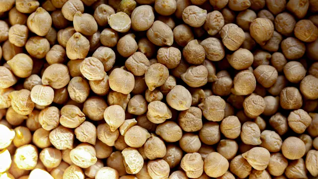 Resep Sorghum Bowl Menu Sehat dengan Sayuran Kaya Nutrisi
