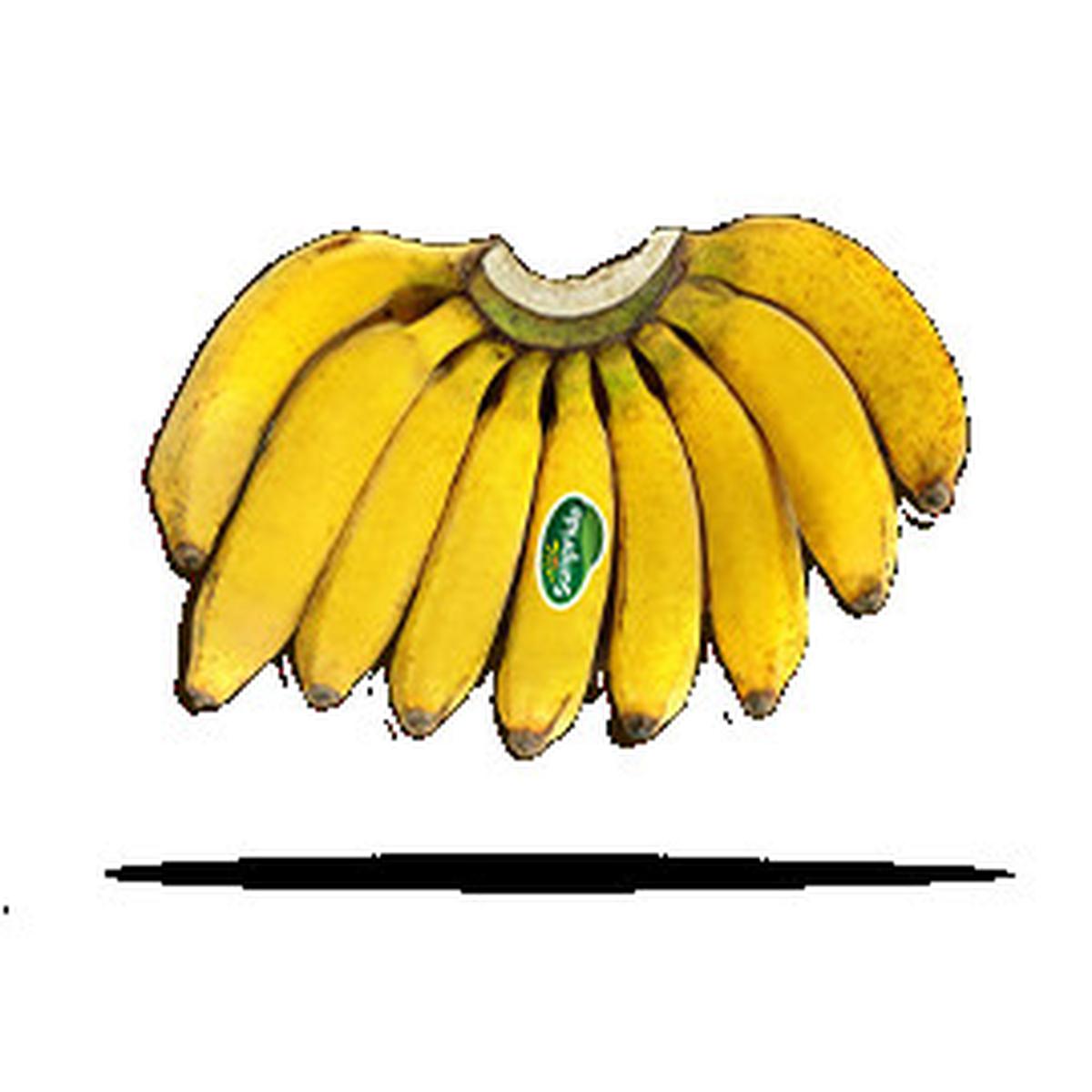 Pisang raja
