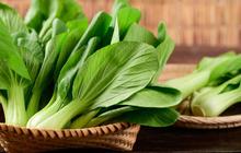 Resep Kreasi Olahan Sayur Pakcoy yang Lezat dan Tetap Menyehatkan