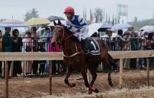 Pacuan Kuda Makin Diminati, Indonesia’s Horse Racing (IHR) Cup II 2025 Payakumbuh Cetak Rekor Pengunjung Terbanyak
