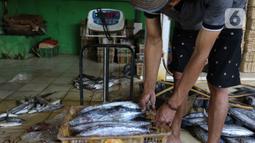 Pekerja bersiap merebus ikan cakalang untuk dijual ke pasar di Rumah Produksi Ikan Cakalang, Jagakarsa, Jakarta, Sabtu (19/11/2022). Kementerian Kelautan dan Perikanan (KKP) mengajak masyarakat untuk mengkonsumsi olahan ikan asli Indonesia yang komposisi gizinya tidak kalah dengan ikan impor dan harga yang lebih terjangkau. (Liputan6.com/Herman Zakharia)