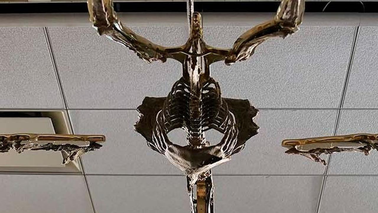 Beberapa Pteranodon diketahui memiliki jambul panjang yang ditemukan di bagian belakang kepala mereka. Jambul tersebut diduga digunakan selama penerbangan atau kawin.