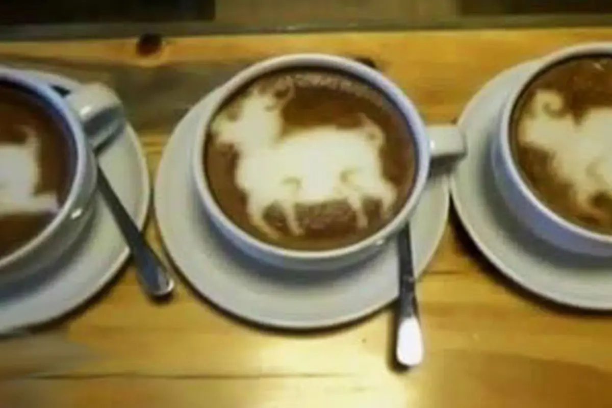 Segmen 3: Kreasi Kopi Siluet Kambing hingga Sapi