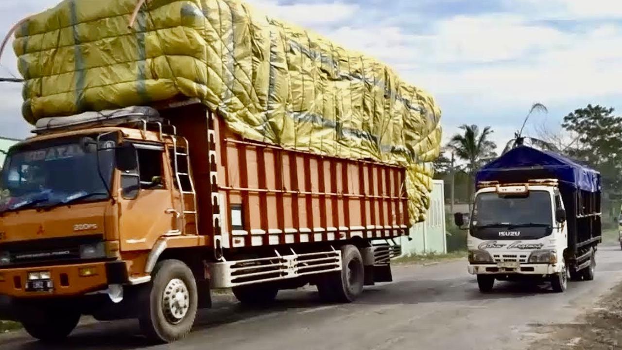 Berantas Truk ODOL, KNKT Minta Pemerintah Buat Sekolah Mengemudi Khusus untuk Sopir Truk dan Bus