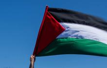 Tak Cuma Ribuan Orang dari Afrika, Warga Irlandia juga Konvoi ke Gaza buat Terobos Blokade Israel