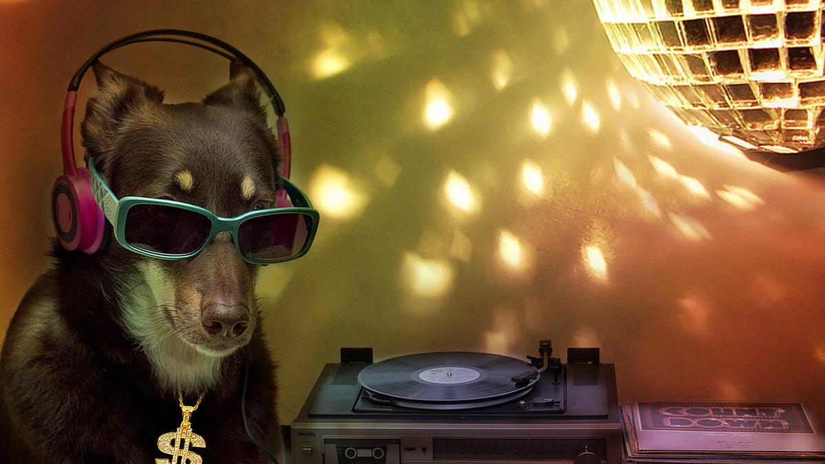 Anjing Ternyata Suka Dengarkan Lagu Reggae Milik Bob Marley