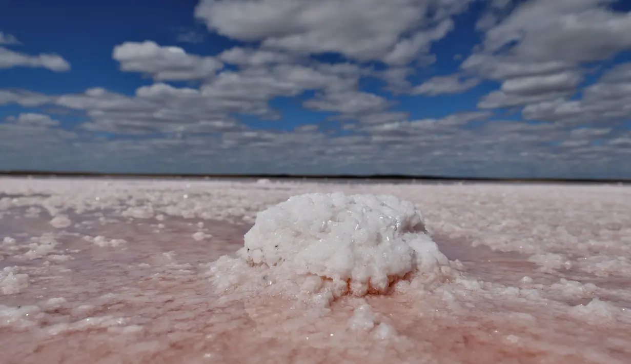 Foto yang diabadikan pada 20 Juni 2020 ini menunjukkan pemandangan Danau Kobeituz di Kawasan Akmola, Kazakhstan utara. Danau Kobeituz terkenal dengan warna merah mudanya dan populer di kalangan wisatawan lokal. (Xinhua/Kalizhan Ospanov)