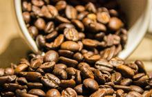 Macam-macam Kopi Indonesia yang Terkenal Hingga Luar Negeri dengan Cita Rasa Khas