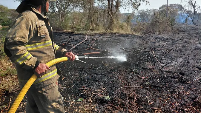 30 Hektare Lahan di Rorotan Terbakar, Diduga Sengaja Dibakar
