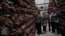 Menteri Pertanian Andi Amran Sulaiman (kiri) didampingi Direktur Utama Bulog, Djarot Kusumayakti (kanan) meninjau pasokan bawang merah di Gudang Bulog, Jakarta, Senin (16/5). (Liputan6.com/Faizal Fanani)