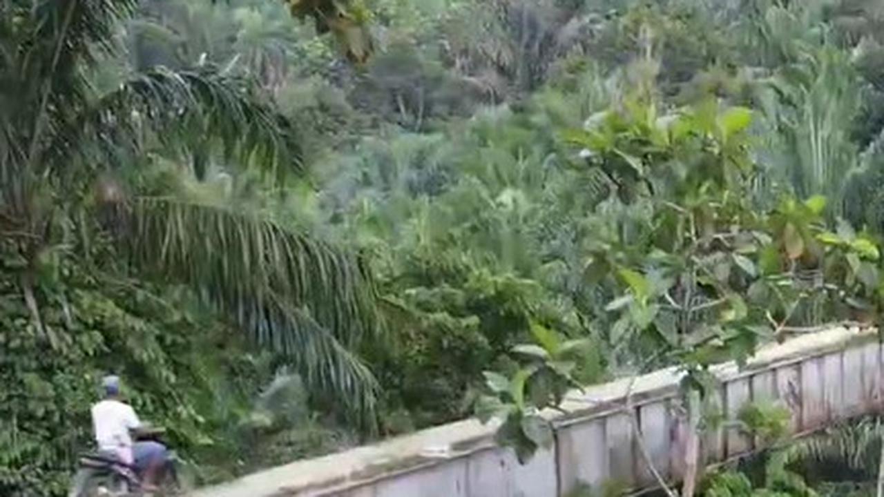Jembatan di Simalungun Ini Disebut Jadi Salah Satu Terekstrem di Indonesia, di Baliknya Ada Pemandangan yang Indah Banget