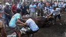 Diperlukan kecakapan dan pengalaman untuk memotong hewan kurban khususnya sapi. (Liputan6.com/Johan Tallo)