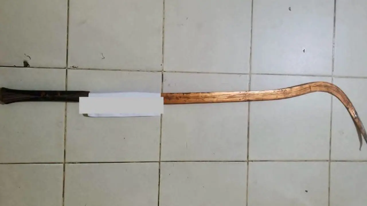 Barang bukti celurit sepanjang 1,5 meter yang disita polisi dari pelajar di Lampung Tengah diduga hendak tawuran