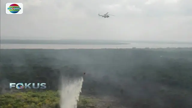 Kebakaran Lahan Gambut di Riau Sudah Capai 965 Hektare