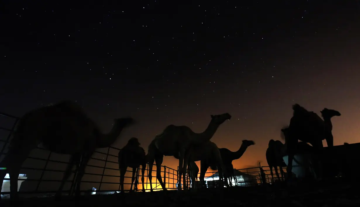 Bintang-bintang terlihat di gurun Mutriba Kuwait, 100 km barat laut ibu kota Kuwait City (13/10/2020). (AFP/Yasser Al-Zayyat)