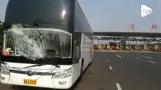 Detik-detik sepotong kayu menghantam bus wisata yang melaju di jalan raya China. Satu orang menderita luka ringan.