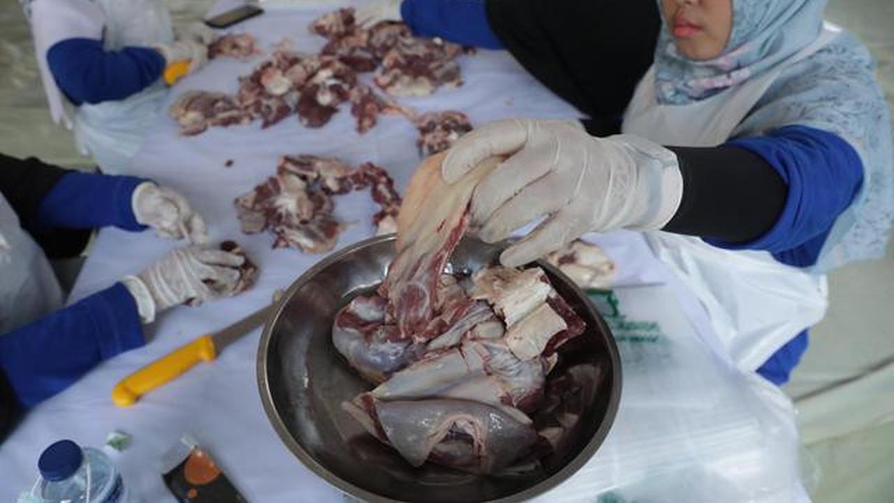 Batas Waktu Aman Simpan Daging Kurban Tanpa Freezer, Panduan Agar Tetap Layak Konsumsi