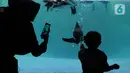 Seorang anak melihat pinguin di Taman Safari Indonesia (TSI) di Cisarua, Bogor, Kamis (20/5/2021). Walaupun libur lebaran sudah berakhir wiasatawan masih memadati kawasan TSI Bogor dengan menerapkan protokol kesehatan dan membatasi pengunjung hingga 50 persen.
(merdeka.com/ Arie Basuki)