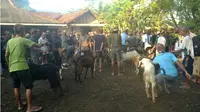 Pada tahun Za, Lebaran Idul Adha, atau disebut ‘Bada Perlon’ oleh Komunitas Bonokeling, tiba di Kamis Pahing. (Liputan6.com/Muhamad Ridlo).